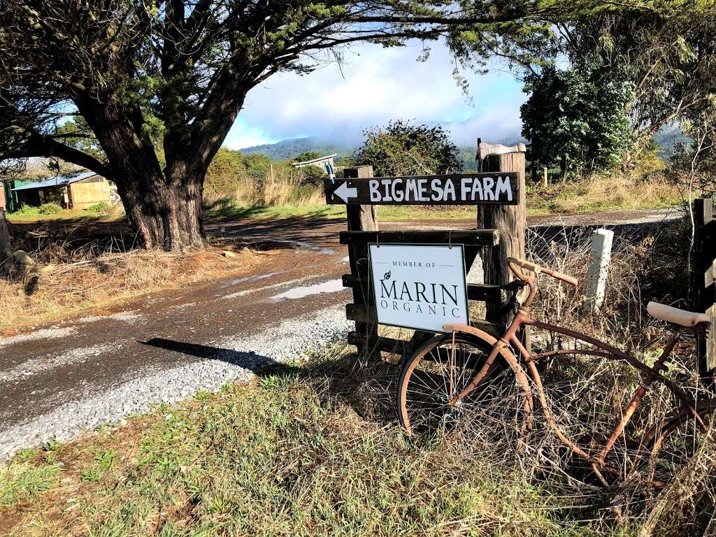 Big Mesa Farmstead | 188-170-53, Bolinas, CA 94924, USA