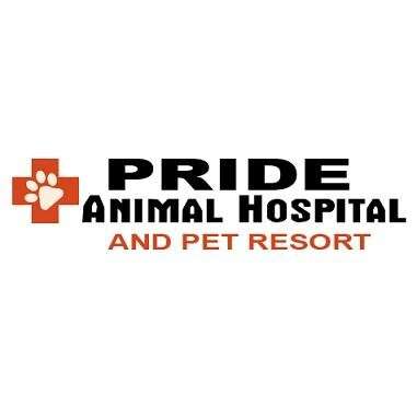 Pride Animal Hospital | 2950 N Dobson Rd #12, Chandler, AZ 85224, USA | Phone: (480) 821-9338
