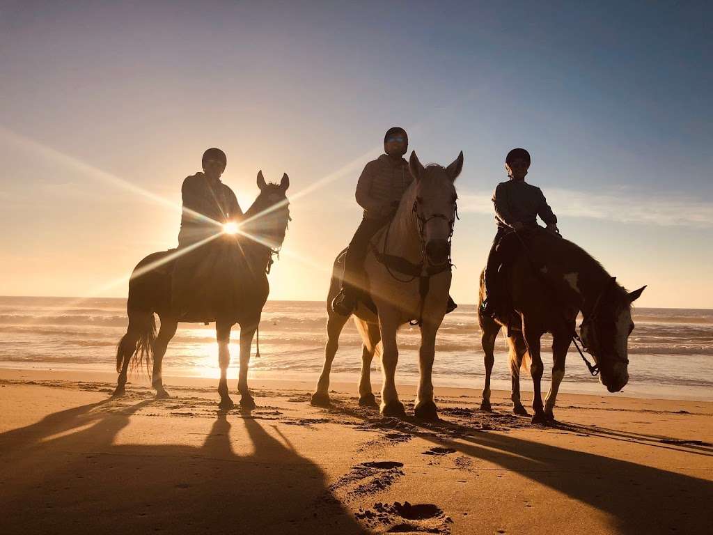 San Diego Beach Rides, Horse Rentals & Wagon Rides | 2606 Hollister St, San Diego, CA 92154, USA | Phone: (619) 947-3152