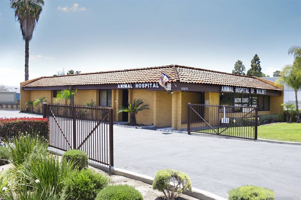 Animal Hospital of Walnut | 20670 E, Carrey Rd, Walnut, CA 91789, USA | Phone: (909) 594-1737