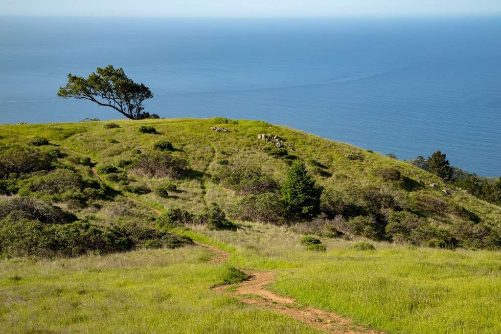 Mount Tamalpais State Park | 3801 Panoramic Hwy, Mill Valley, CA 94941, USA | Phone: (415) 388-2070