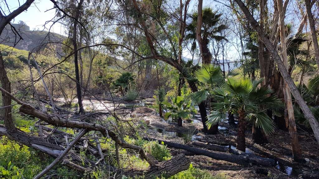 Bancroft Creek | 2037 S Barcelona St, Spring Valley, CA 91977, USA