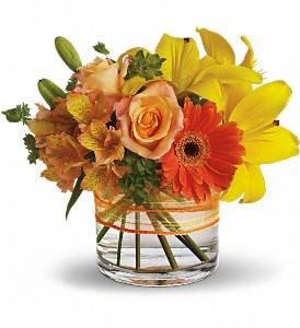 Catherines Gardens Florist | 15146 S Cicero Ave, Oak Forest, IL 60452, USA | Phone: (708) 535-6400