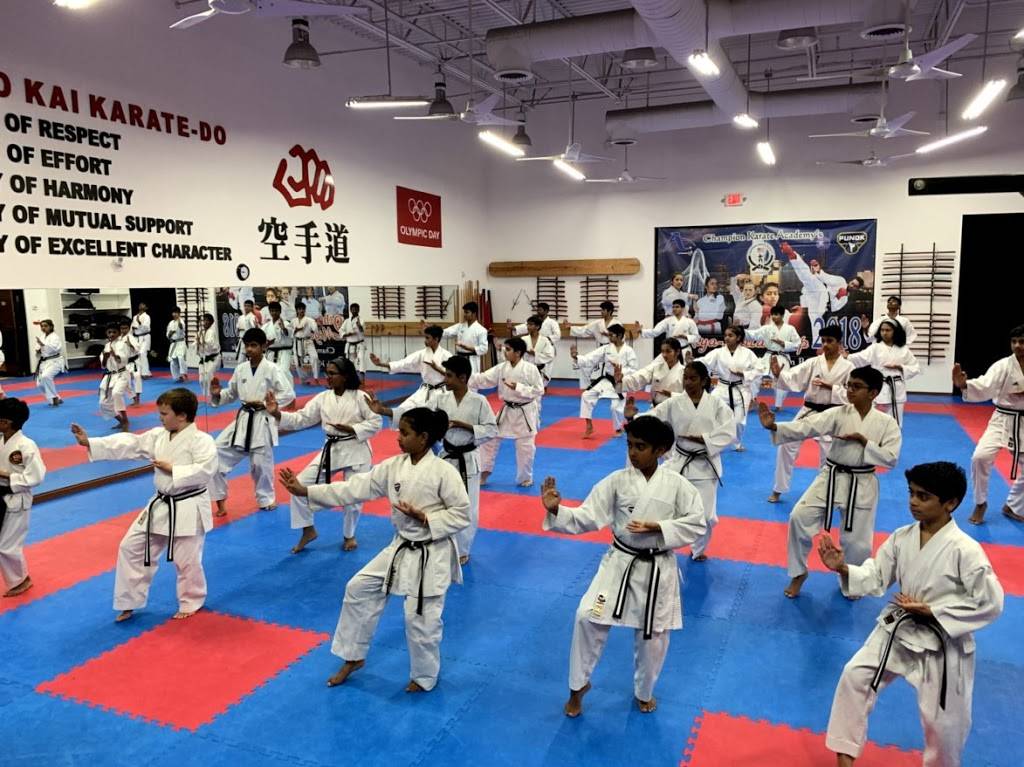 Champion Karate Academy | 2010 Market Pl Blvd, Irving, TX 75063, USA | Phone: (469) 620-3354