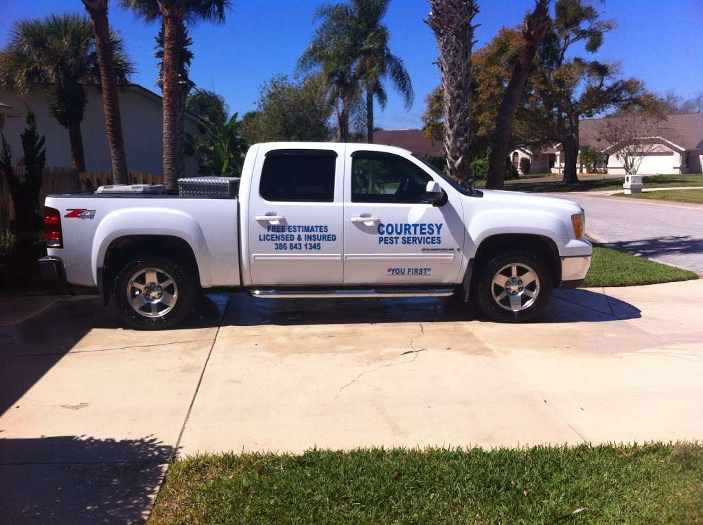 Courtesy Pest Services | 126 Sea St, New Smyrna Beach, FL 32168, USA | Phone: (386) 843-1345