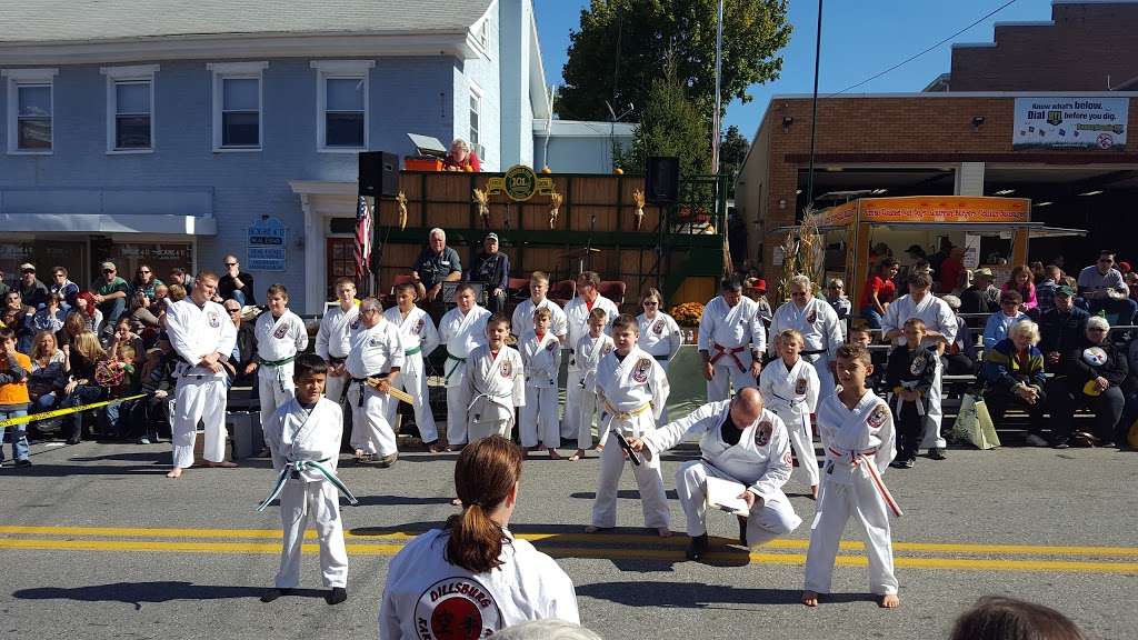 Dillsburg Karate Academy | 220 S 2nd St, Dillsburg, PA 17019, USA | Phone: (717) 432-7799