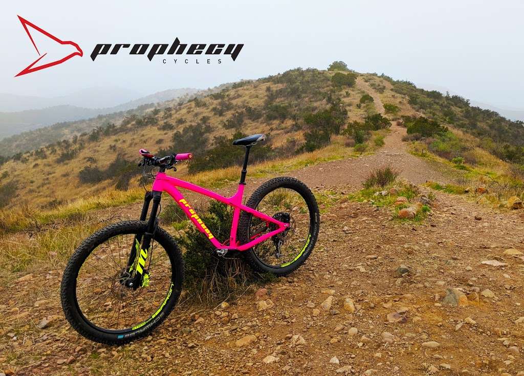 Prophecy Cycles | 330 Wood Rd suite i, Camarillo, CA 93010, USA | Phone: (805) 484-7433