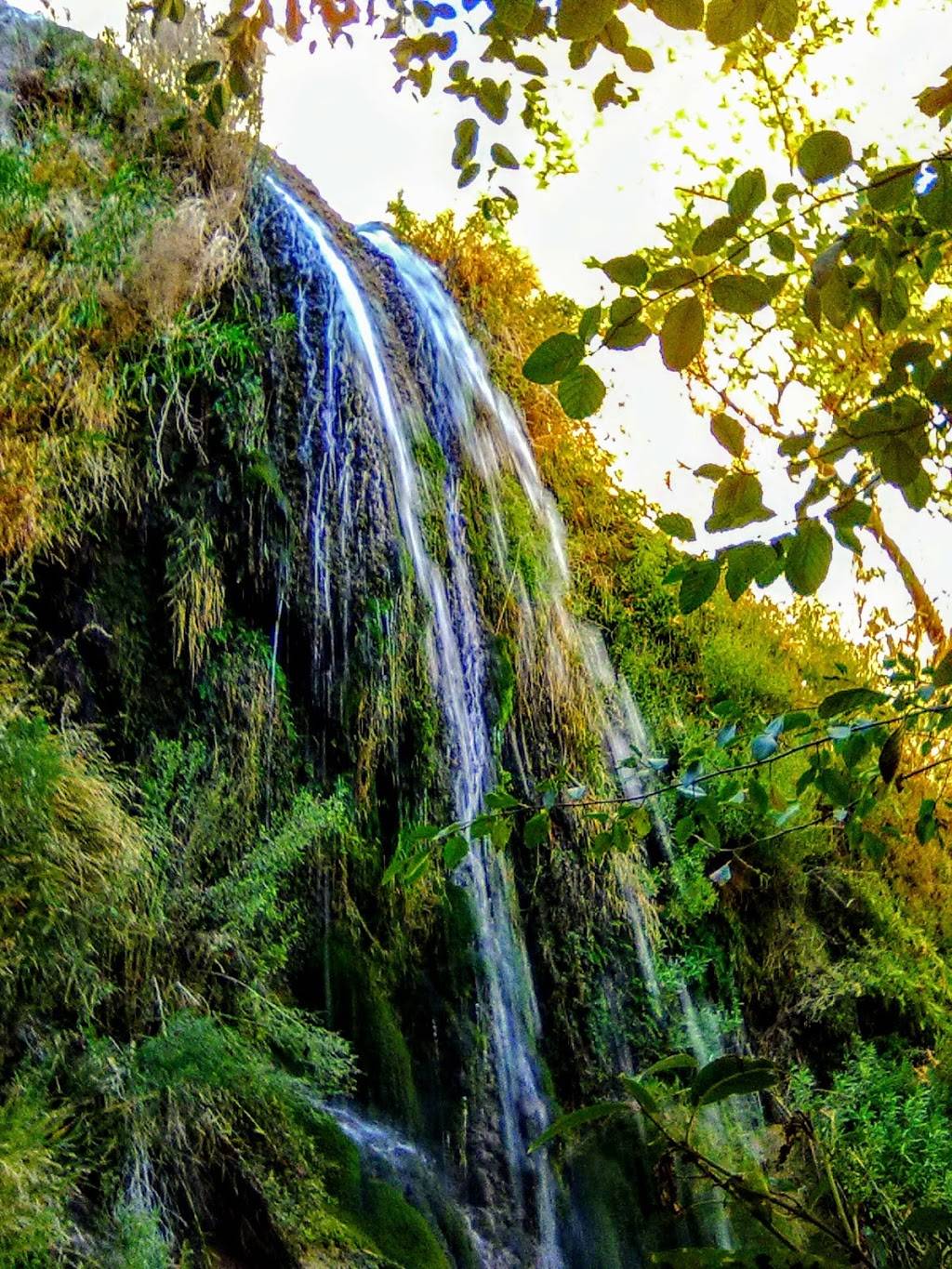 San Gorgonio Wilderness | Angelus Oaks, CA 92305, USA | Phone: (909) 382-2882