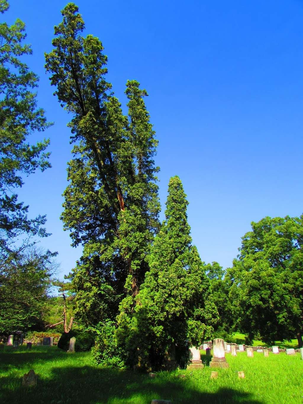 Hopewell Meeting House Graveyard | Clear Brook, VA 22624, USA