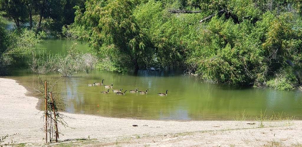 Peck Road Water Conservation Park | 5401 N Peck Rd, Arcadia, CA 91006, USA | Phone: (626) 334-1065