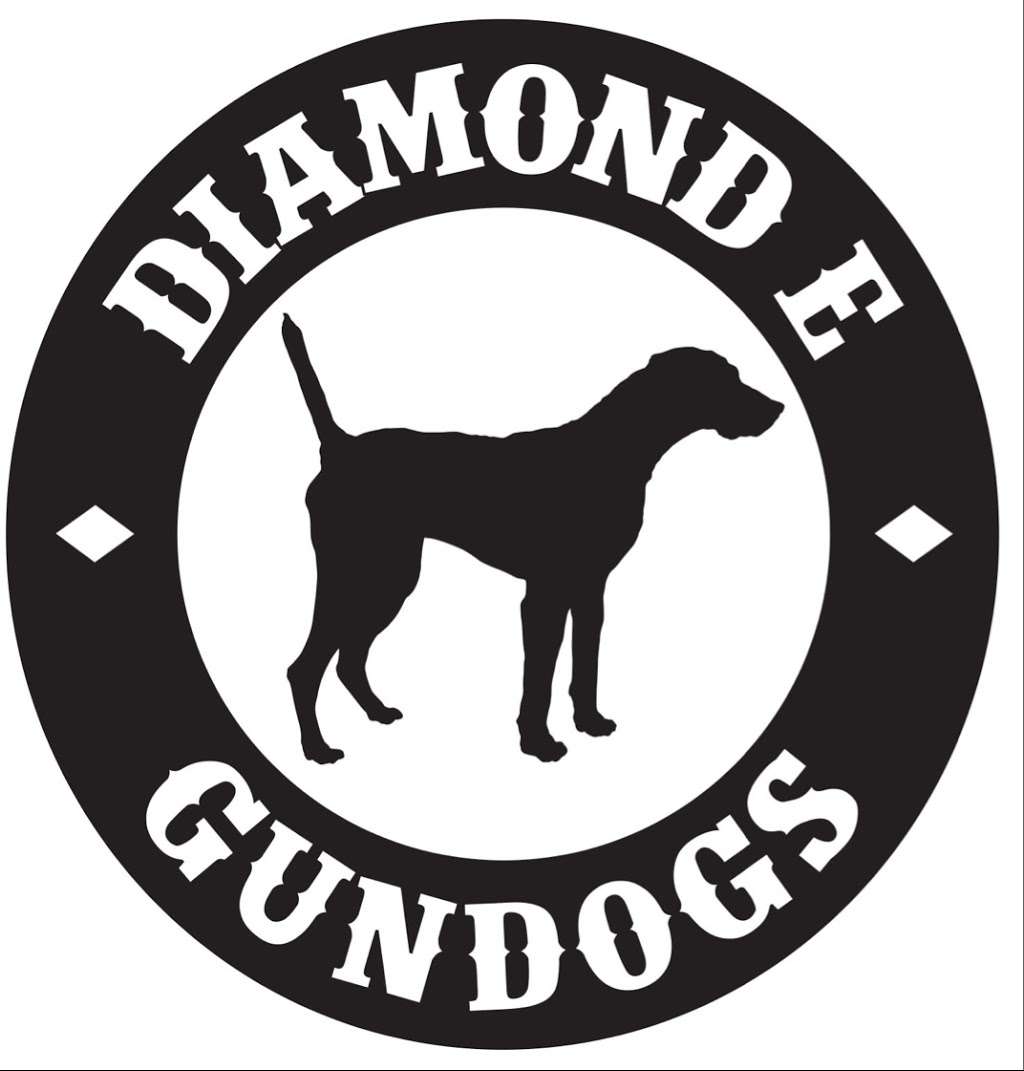 Diamond E Gundogs | 3750 South, FM945, Cleveland, TX 77328, USA | Phone: (936) 537-2385