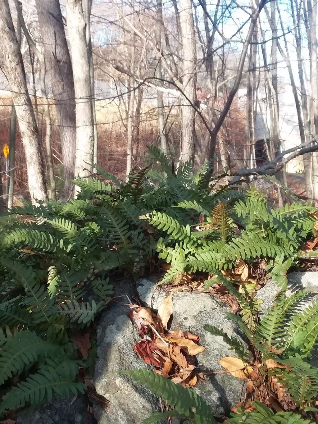 Rail Trail Access Path | Hudson, MA 01749, USA