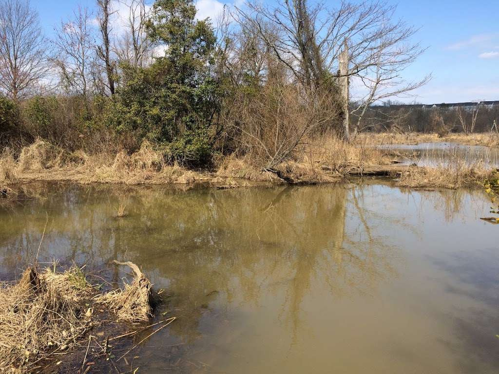 Julie Metz Wetlands Trailhead Parking | Woodbridge, VA 22191, USA