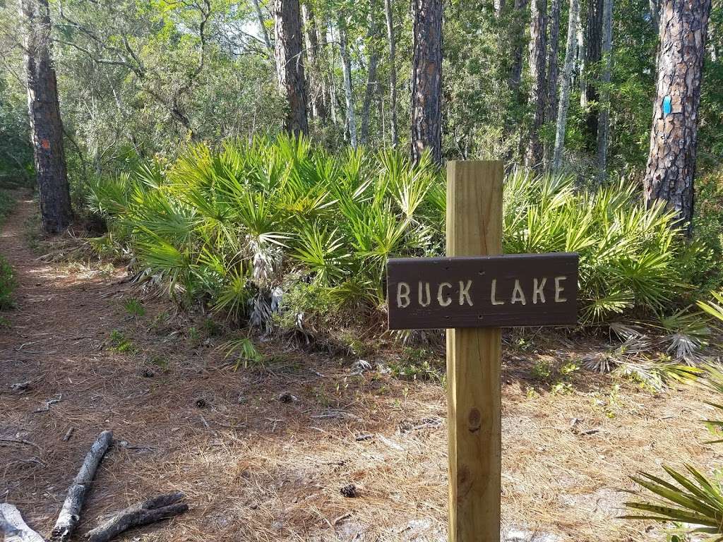 Buck Lake Group Campground | National Forest Rd 592-2, Umatilla, FL 32784, USA | Phone: (352) 625-2520