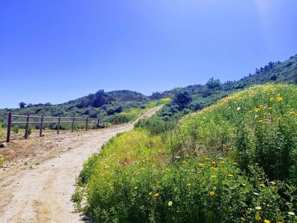 Tijuana River Valley Regional Park | 2564-2768 Dairy Mart Rd, San Diego, CA 92154, USA | Phone: (619) 428-2946