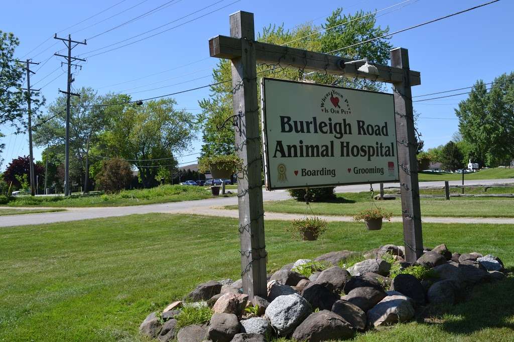 Burleigh Road Animal Hospital | 13725 W Burleigh Rd, Brookfield, WI 53005, USA | Phone: (262) 781-4400