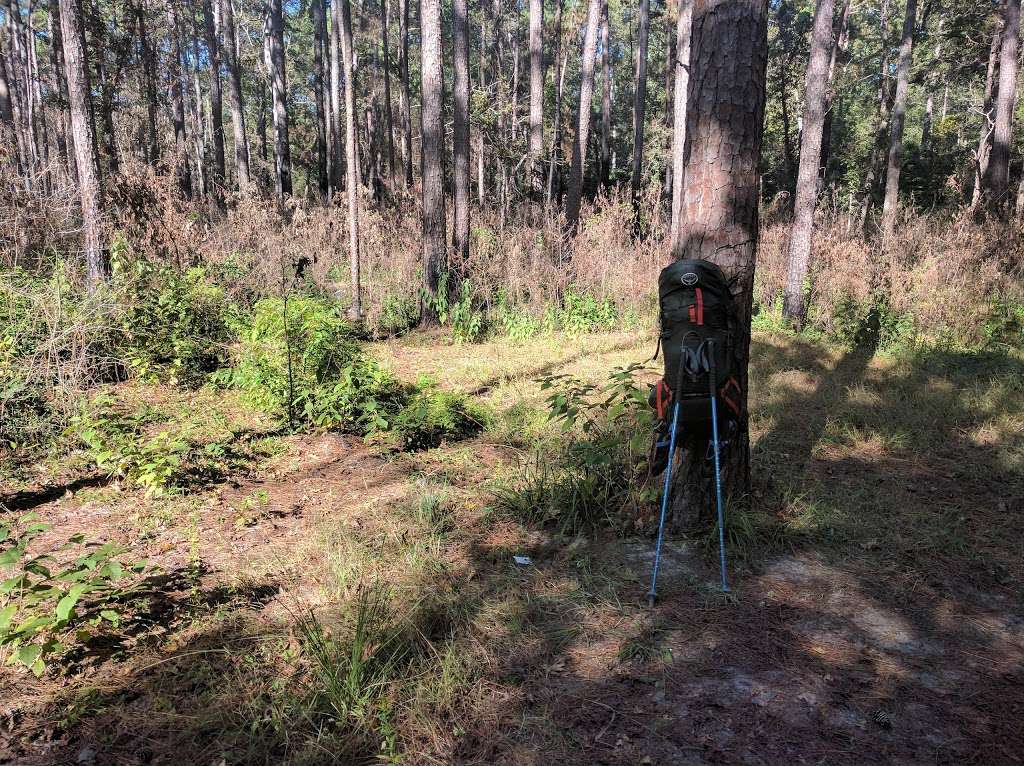 Lone Star Hiking Trail - Big Creek Primitive Campsite | Coldspring, TX 77331, USA | Phone: (936) 344-6205