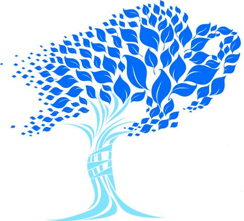 Dr. Geoffrey A. Bernas, MD | 5959 Big Tree Rd #108, Orchard Park, NY 14127, USA | Phone: (716) 204-3200