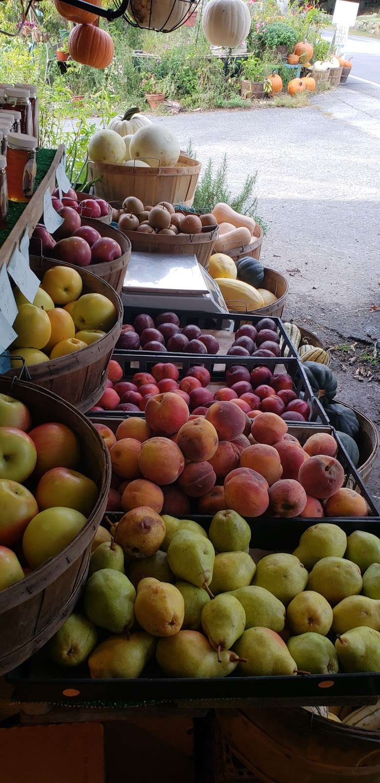 Johns Farmstand | 105 Southern Ave, Essex, MA 01929, USA