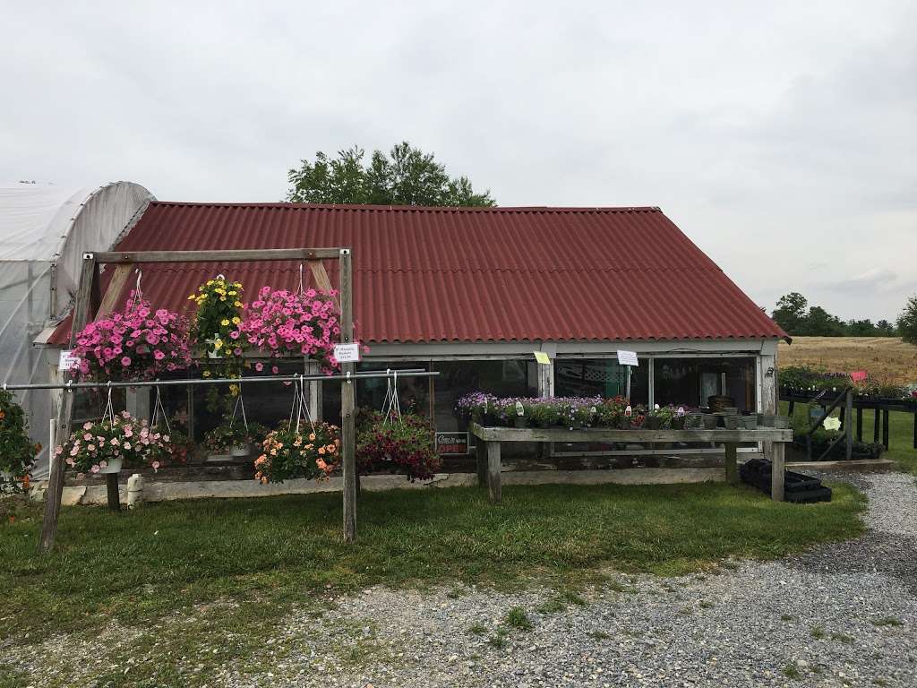 T & C Greenhouse | 20810 Leitersburg Pike, Hagerstown, MD 21742, USA | Phone: (301) 790-0906
