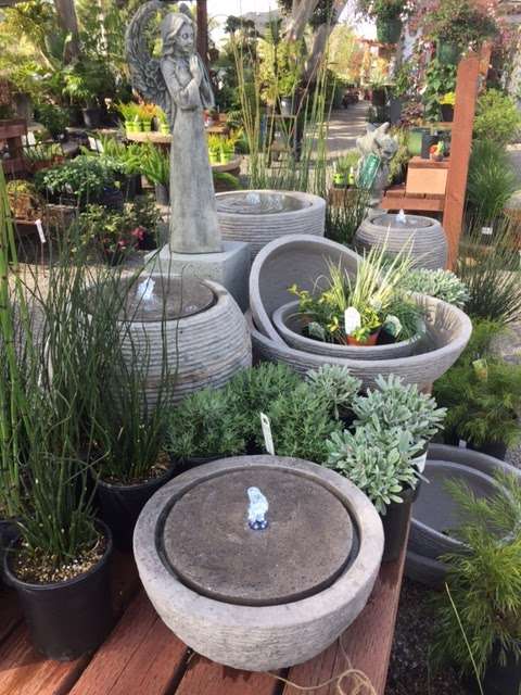 Andersons La Costa Nursery | 400 La Costa Ave, Encinitas, CA 92024, USA | Phone: (760) 753-3153