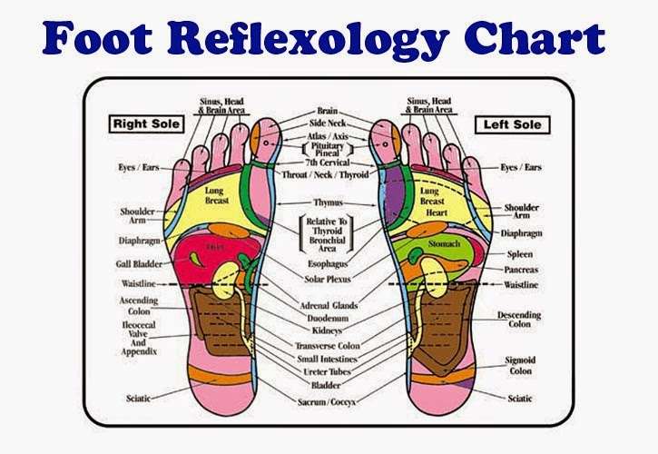 Barbara Fenton (Reiki Master/Reflexology) | 2819 Whitemarsh Pl, Macungie, PA 18062, USA | Phone: (610) 393-2036