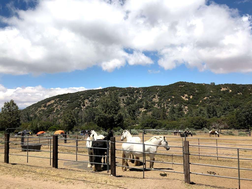 Running Horse Ranch | 25000 Pine Canyon Rd, Lake Hughes, CA 93532, USA | Phone: (818) 437-3546