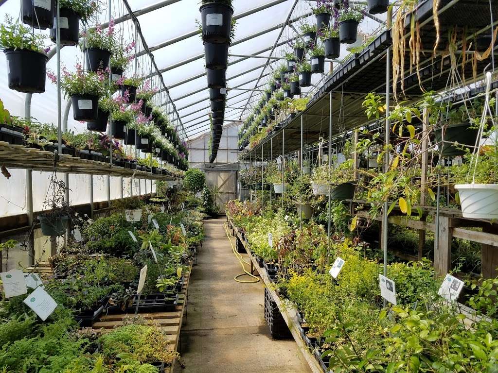 Pepper Greenhouses | 13034 Cedar Creek Rd, Milton, DE 19968, USA | Phone: (302) 684-8092