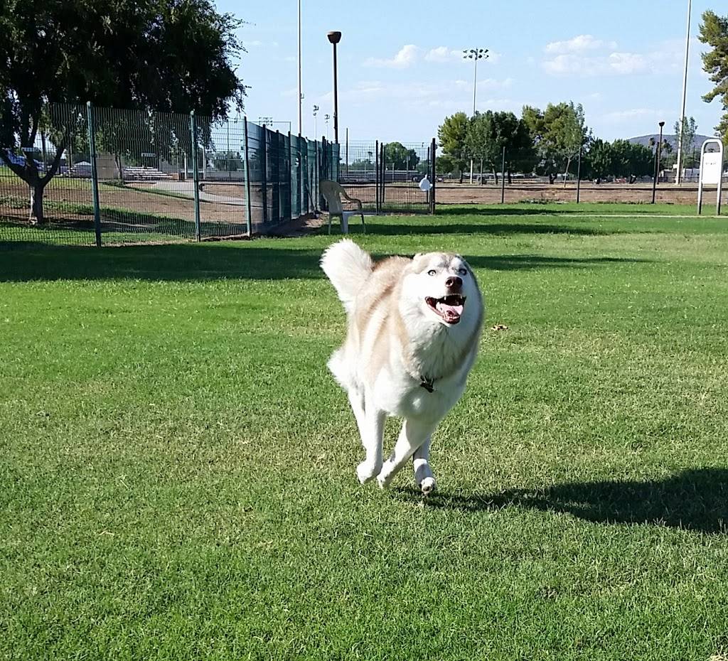 PetSmart Dog Park | 6655 N 23rd Ave, Phoenix, AZ 85015, USA | Phone: (602) 262-6971