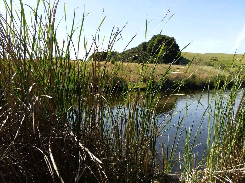 Boronda Lake Docks | Unnamed Road, Palo Alto, CA 94304, USA