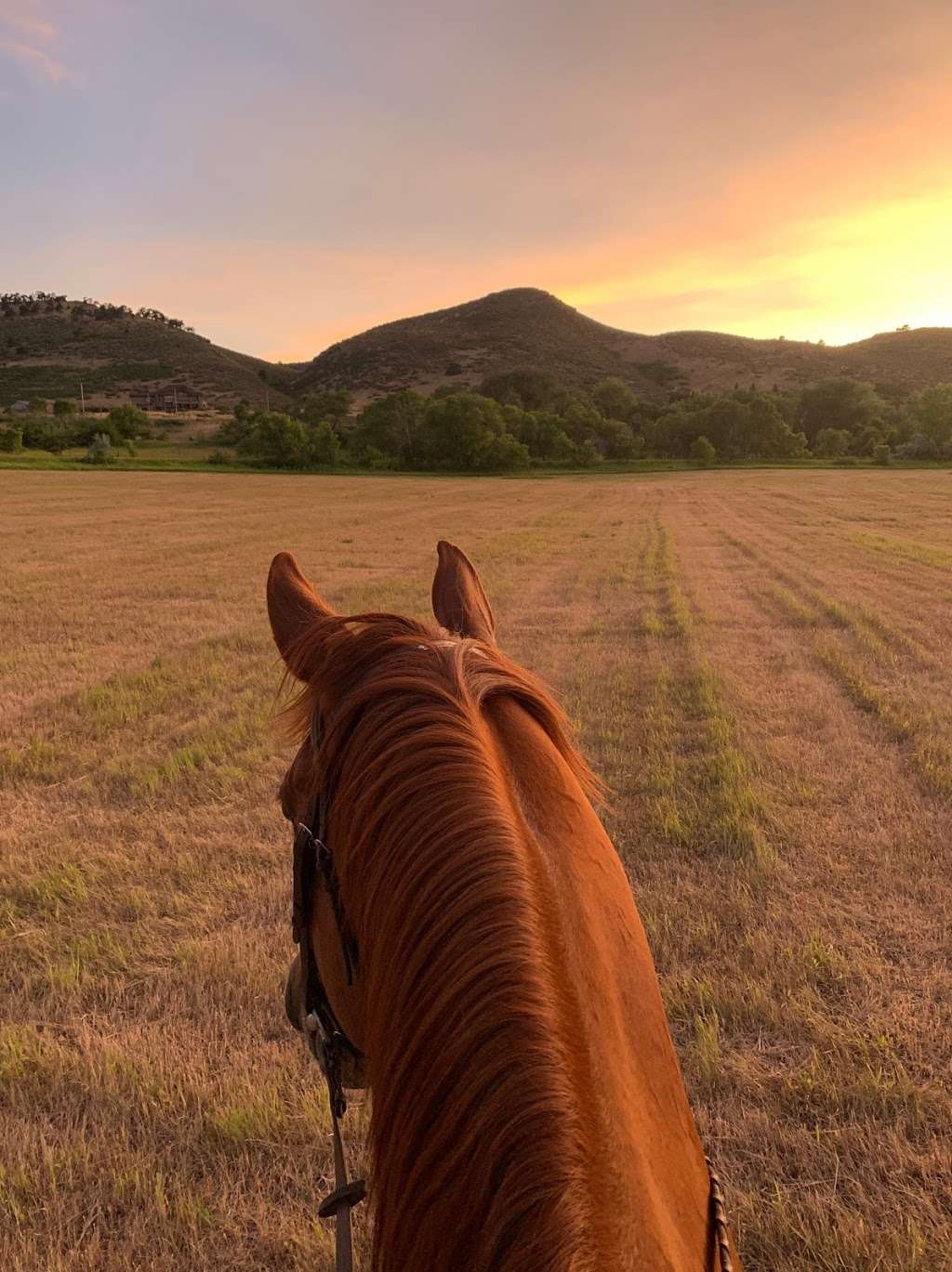 Kayenta Equestrian | 1245 N Carter Lake Rd, Loveland, CO 80537, USA | Phone: (970) 663-1733