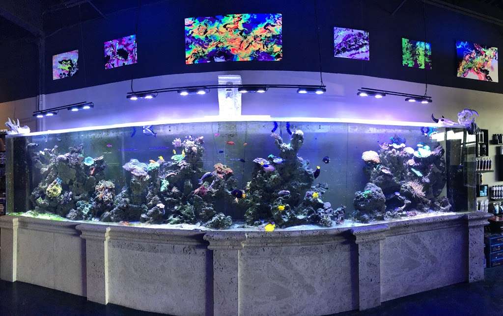 Paradise Aquatics | 16064 Foster, Overland Park, KS 66085, USA | Phone: (913) 339-9060