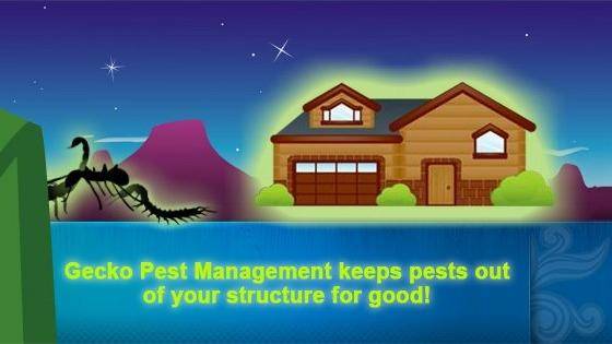 Gecko Pest Management Inc | 1001 S Park Ave, Tucson, AZ 85719, USA | Phone: (520) 579-1701