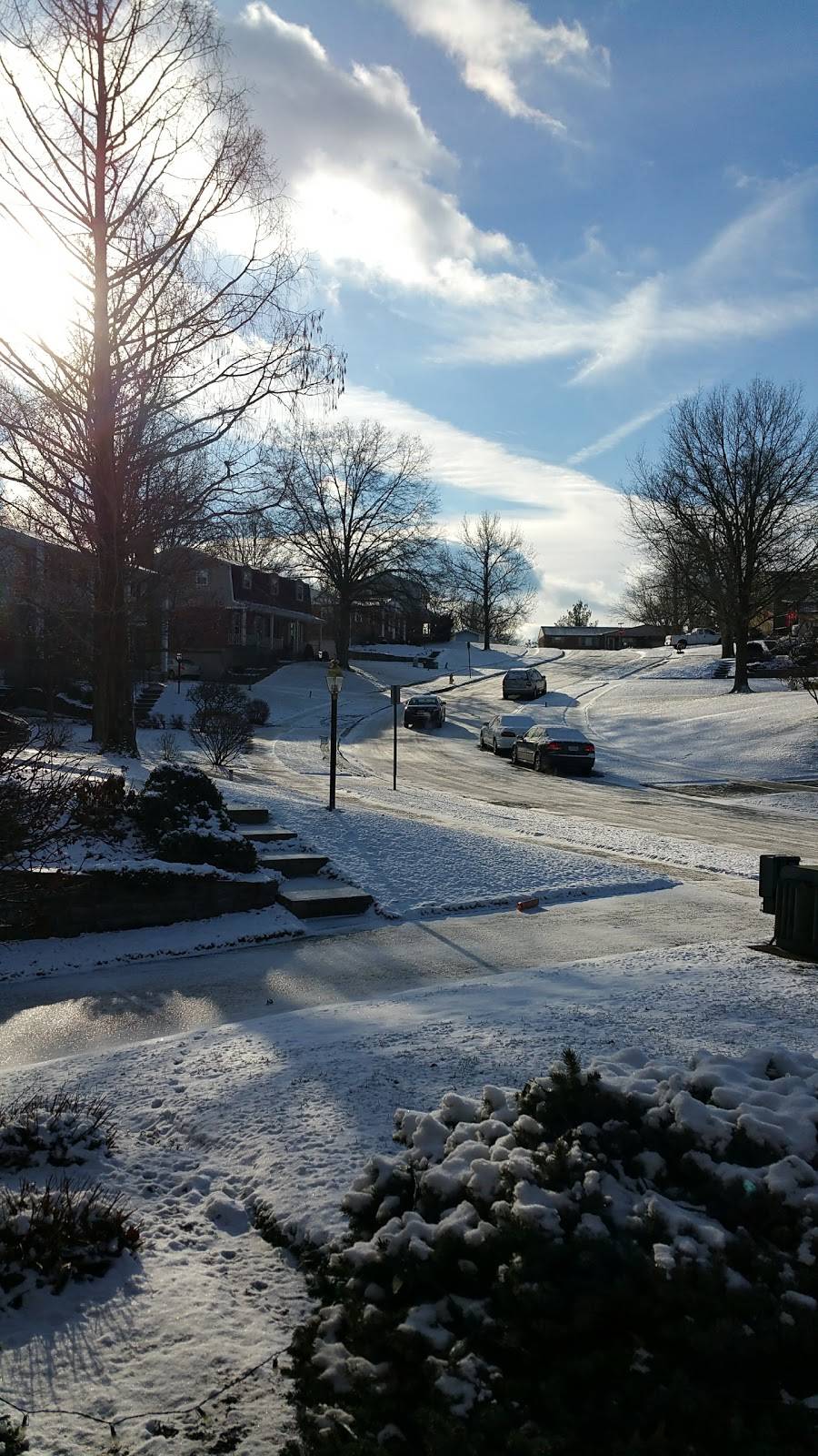 Medical Fun Facts | 7334 Appleridge Ct, Cincinnati, OH 45247, USA | Phone: (513) 923-2273