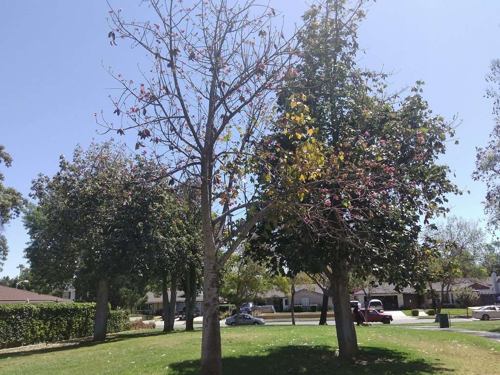 Mountain View Park | 6241 Wiehe Ave, Riverside, CA 92506, USA