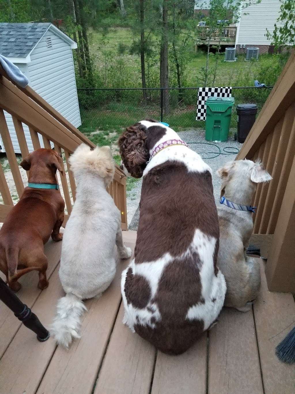 Aylett Animal Hospital Inc | 8065 Richmond Tappahannock Hwy, Aylett, VA 23009, USA | Phone: (804) 769-1530