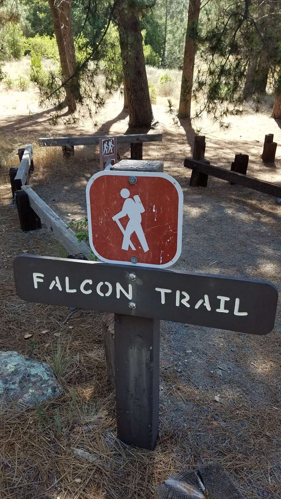 Falcon Group Campground | Main Divide Truck Trail, Lake Elsinore, CA 92530, USA | Phone: (877) 444-6777