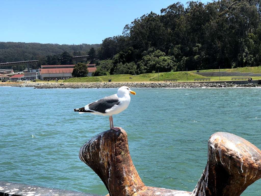 SF World Monument | San Francisco, CA 94129, USA