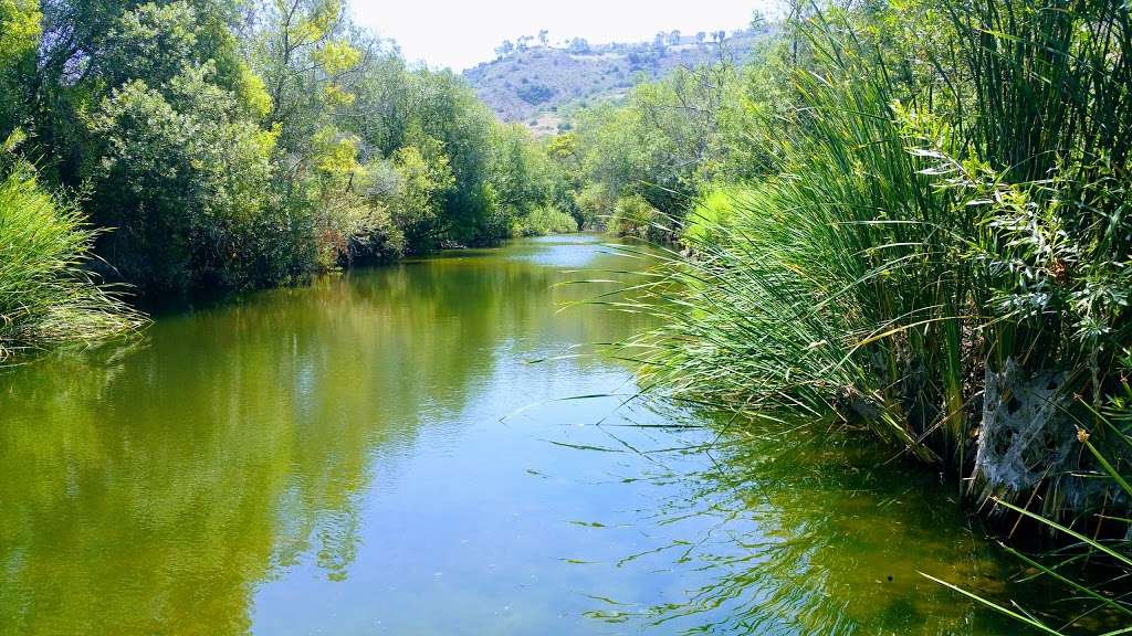 Aliso Summit Hiking Trail | 29292 Ridgeview Dr, Laguna Niguel, CA 92677, USA