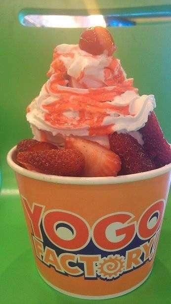 YoGo Factory Frozen Yogurt | 120 Center Square Rd #101, Woolwich Township, NJ 08085 | Phone: (856) 241-9646