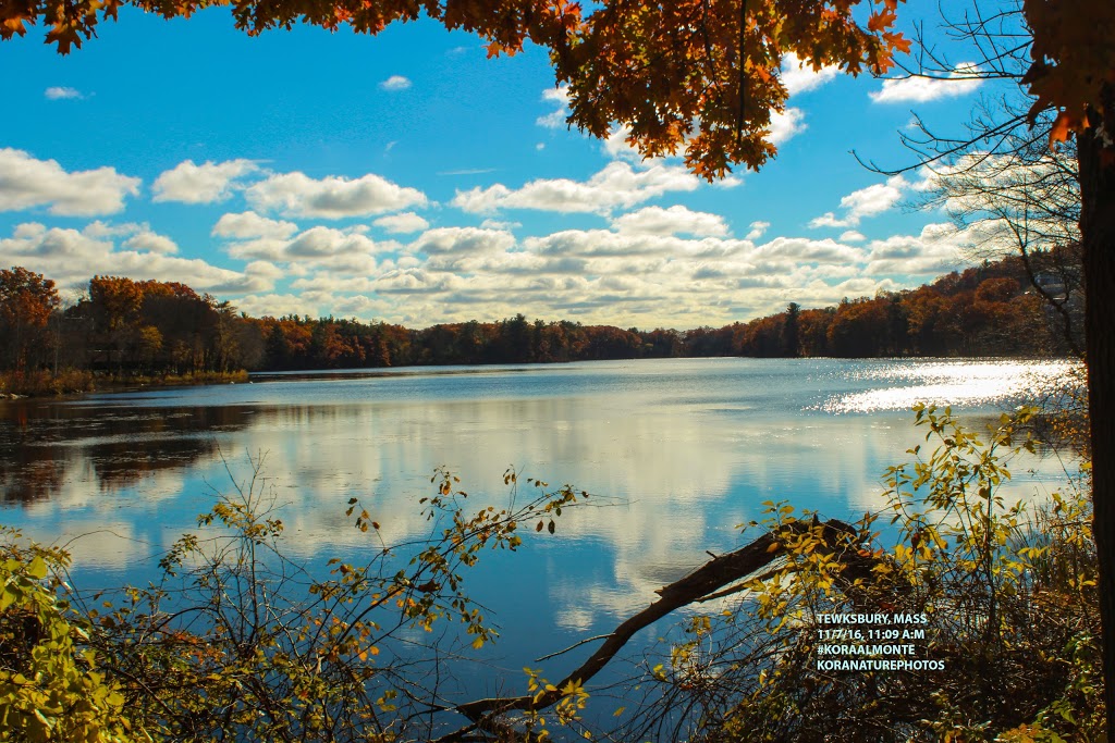 Public Health Museum in Massachusetts | 365 East St, Tewksbury, MA 01876 | Phone: (978) 851-7321 ext. 2606