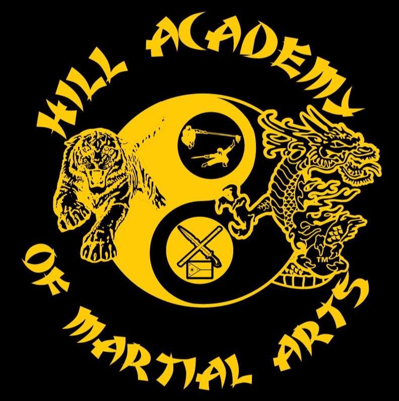 Hill Academy Of Martial Arts | 817 Daybreak Dr, Avon, IN 46123, USA | Phone: (219) 779-2149