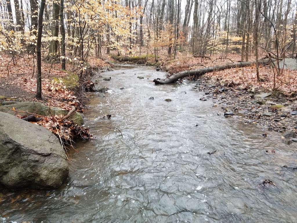 Flat Rock Brook Nature Center | 443 Van Nostrand Ave, Englewood, NJ 07631, USA | Phone: (201) 567-1265