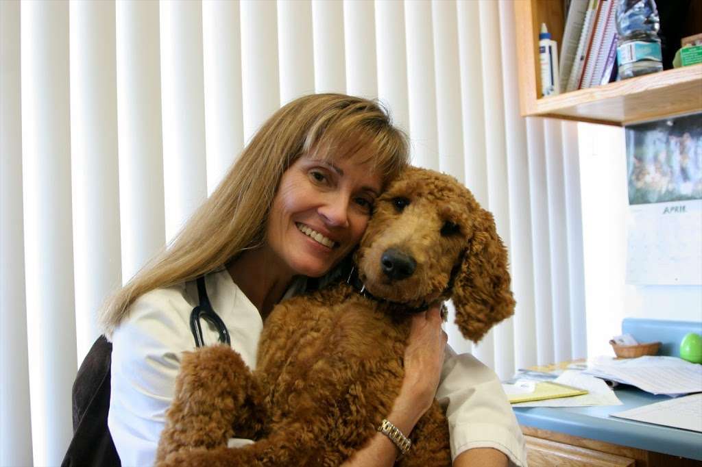 The Pet Hospital of Tierrasanta | 6030 Santo Rd # A, San Diego, CA 92124, USA | Phone: (858) 569-7777