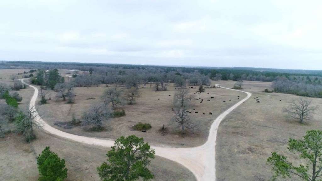 Fairview Cemetery | 5464 Fairview Cemetery Rd, Richards, TX 77873, USA