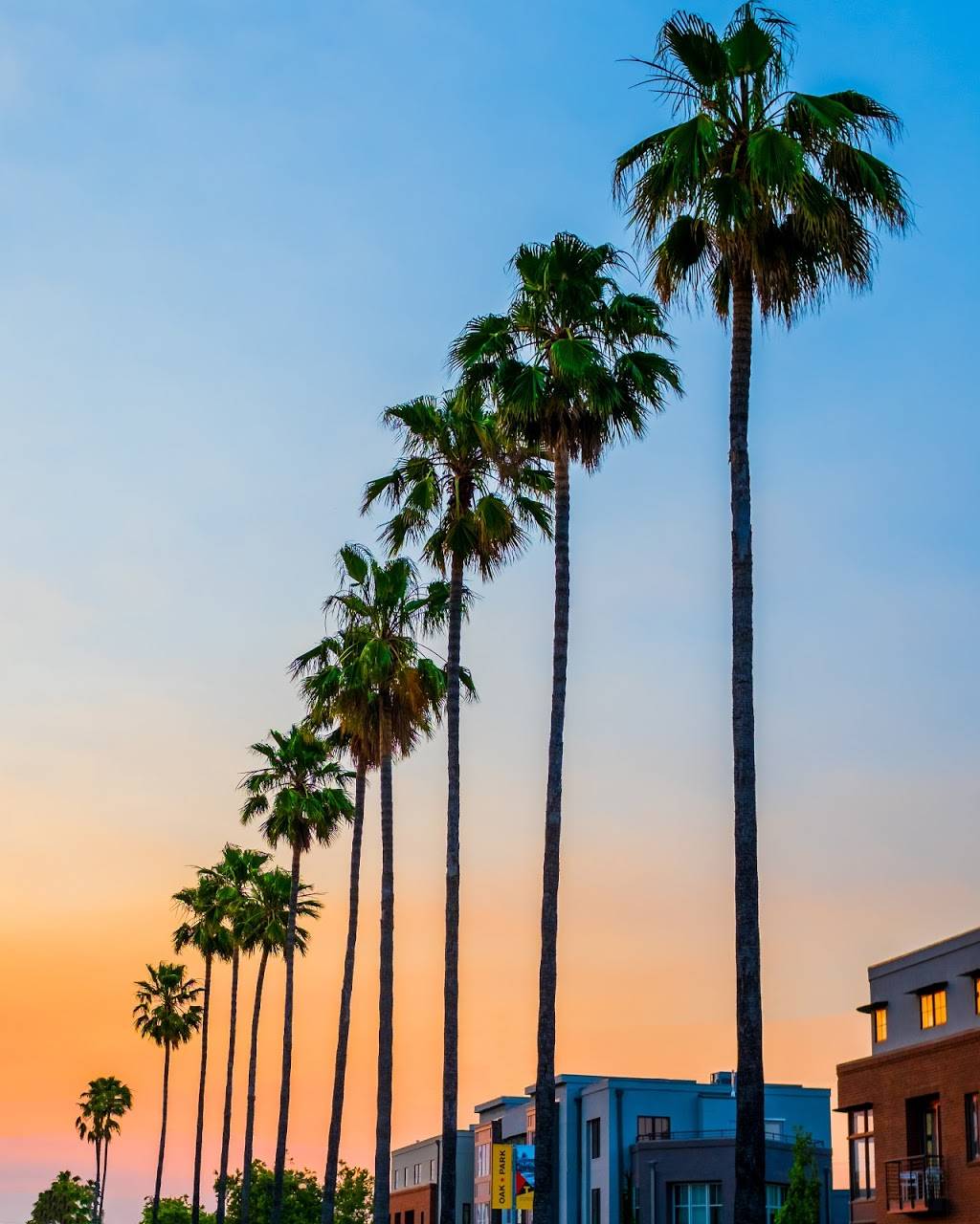 City Church of Sacramento | 3860 4th Ave, Sacramento, CA 95817, USA | Phone: (916) 468-4545