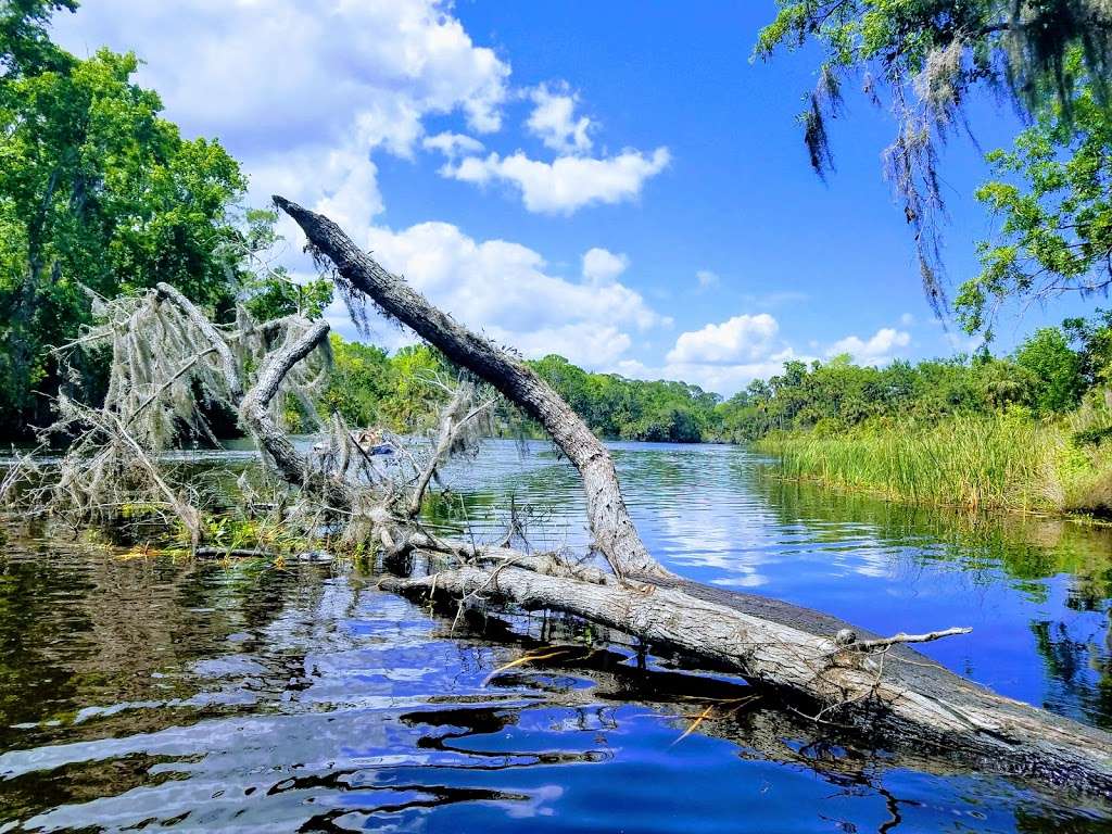 Ocala National Forest | FL-40, Silver Springs, FL 34488, USA | Phone: (352) 625-2520