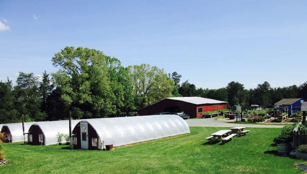 Forrest Green Farm | 2317 Evergreen Rd, Louisa, VA 23093, USA | Phone: (434) 882-2648