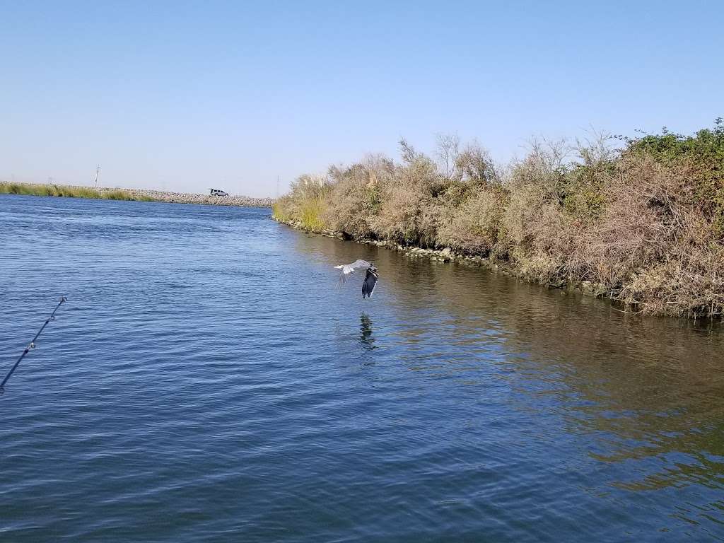 Franks Tract | State Recreation Area | Willow Rd, Oakley, CA 94561, USA | Phone: (916) 777-6671