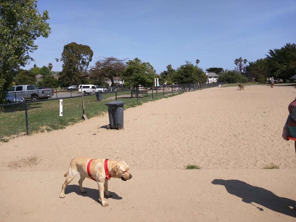 Alameda Dog Park | 1302 8th St, Alameda, CA 94501, USA | Phone: (510) 747-7400